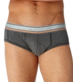 Silver Brando Brief